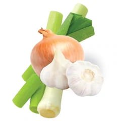 pictograma produs formula completa